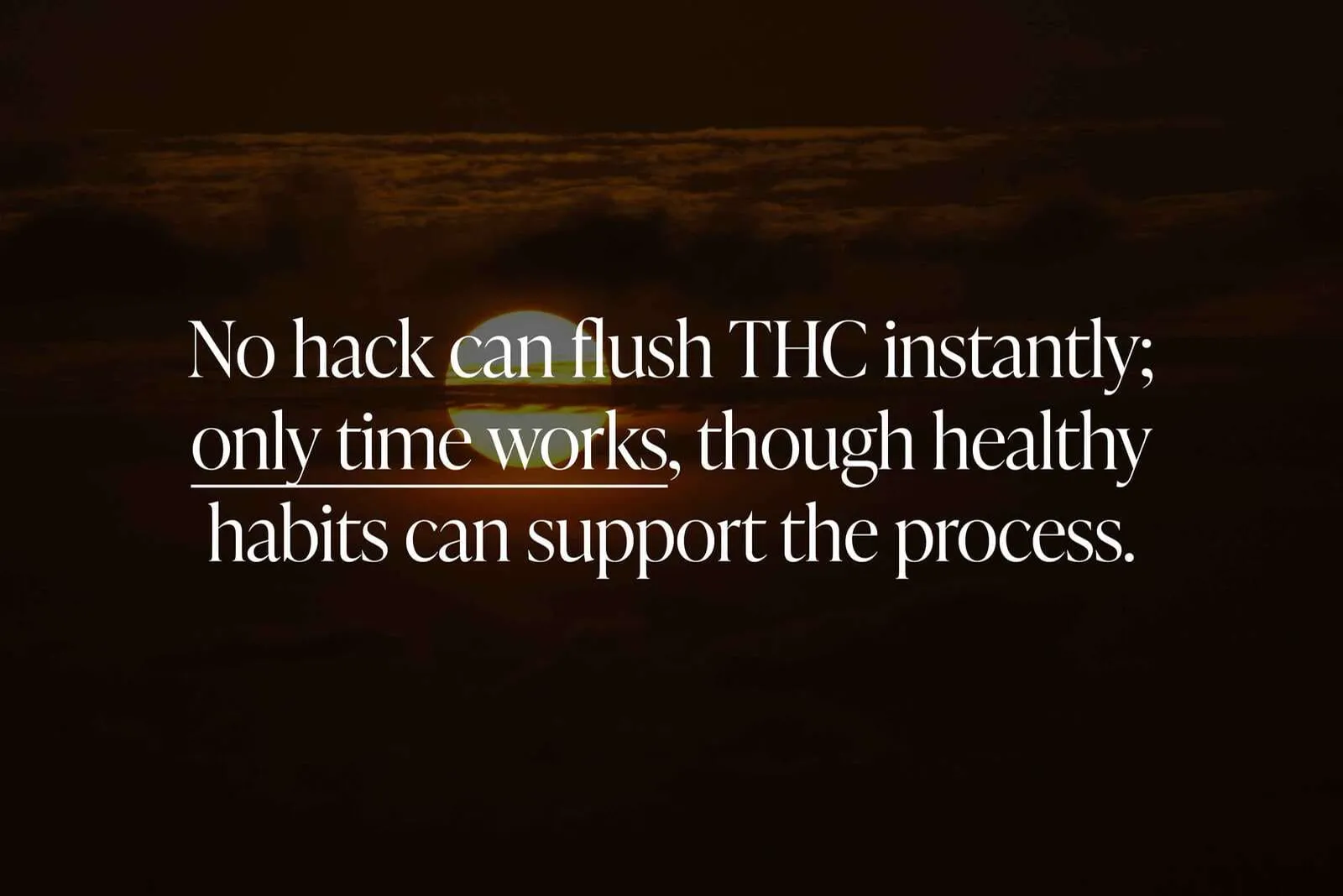 Can You Speed Up THC Detox and Pass a Drug Test?
